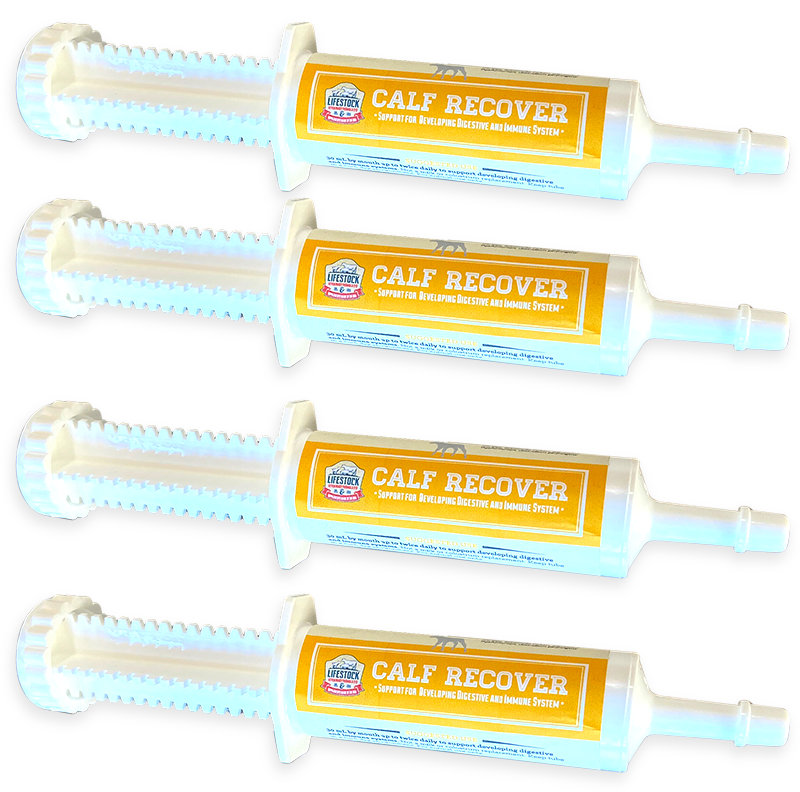 Calf Recover Paste (12 Count Box)