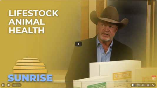 LifeStock on Superior Sunrise