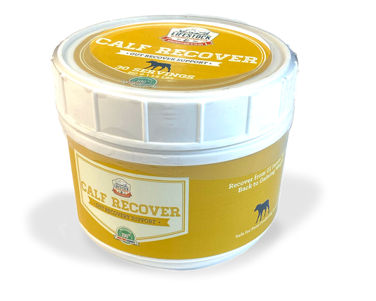 Calf Recover Powder (30 Serving)