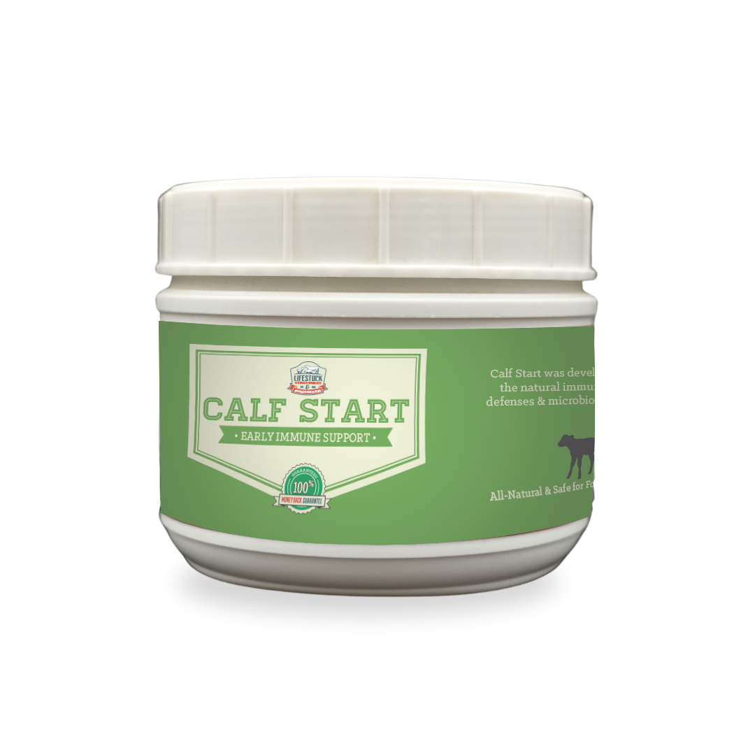 Calf Start Powder (60 Serving)