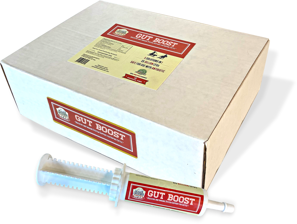 Gut Boost Paste (10-count box)