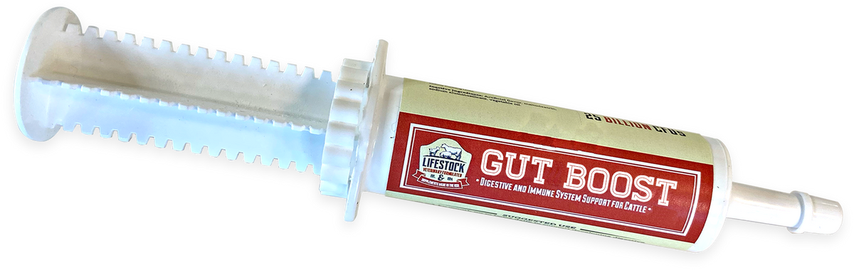 Gut Boost Paste (10-count box)