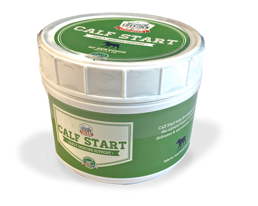 Calf Start Powder (60 Serving)