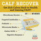 Calf Recover Paste (12 Count Box)