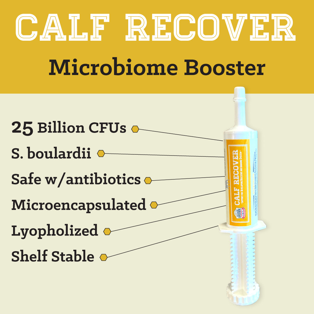 Calf Recover Paste (12 Count Box)