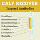 Calf Recover Paste (12 Count Box)