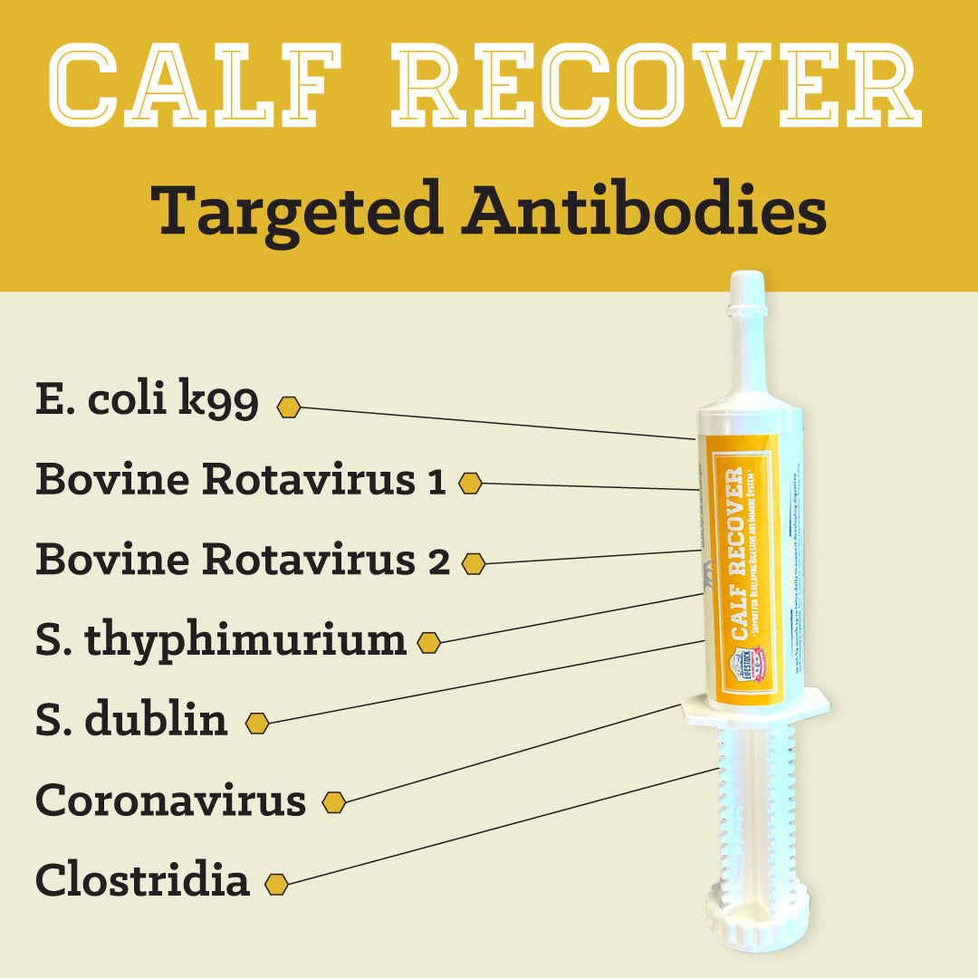 Calf Recover Paste (12 Count Box)