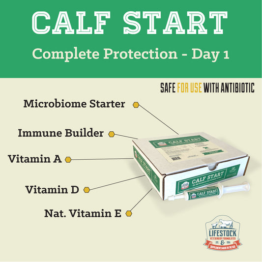 Calf Start Paste (12 Count Box)