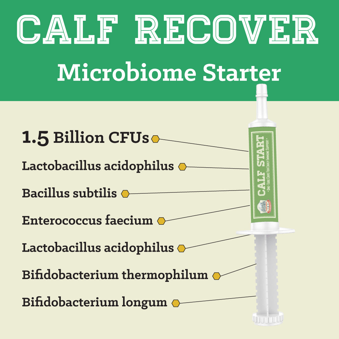 Calf Start Paste (12 Count Box)