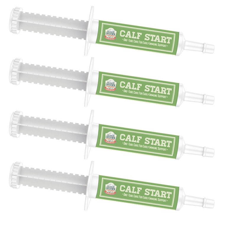 Calf Start Paste (12 Count Box)