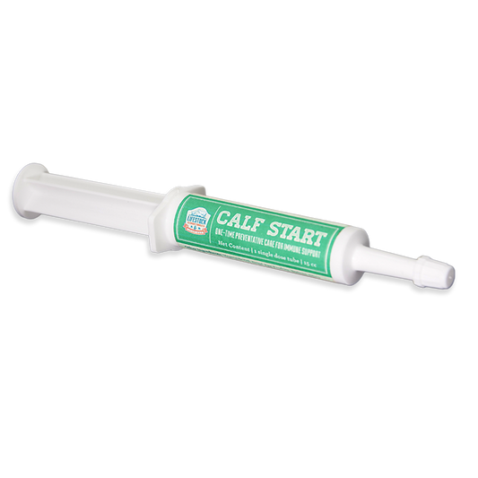 Calf Start Paste (12 Count Box)